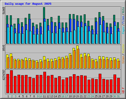 Daily usage for August 2025
