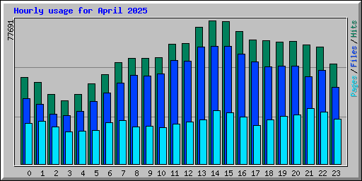 Hourly usage for April 2025
