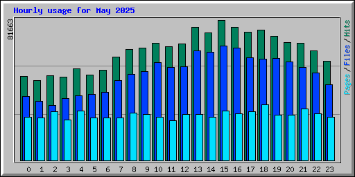 Hourly usage for May 2025