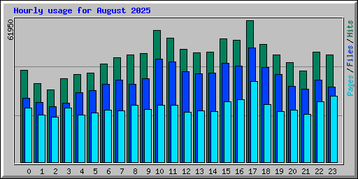 Hourly usage for August 2025