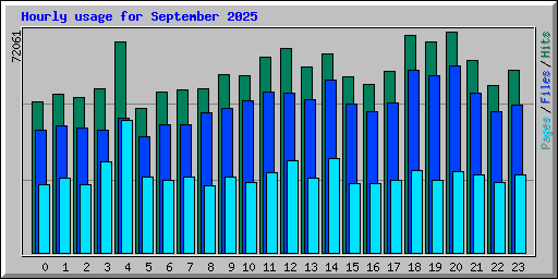 Hourly usage for September 2025