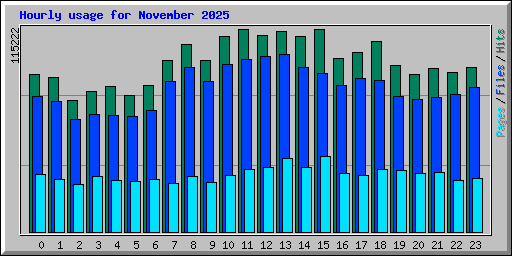 Hourly usage for November 2025