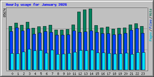 Hourly usage for January 2026