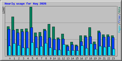 Hourly usage for May 2026