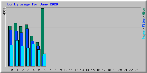 Hourly usage for June 2026